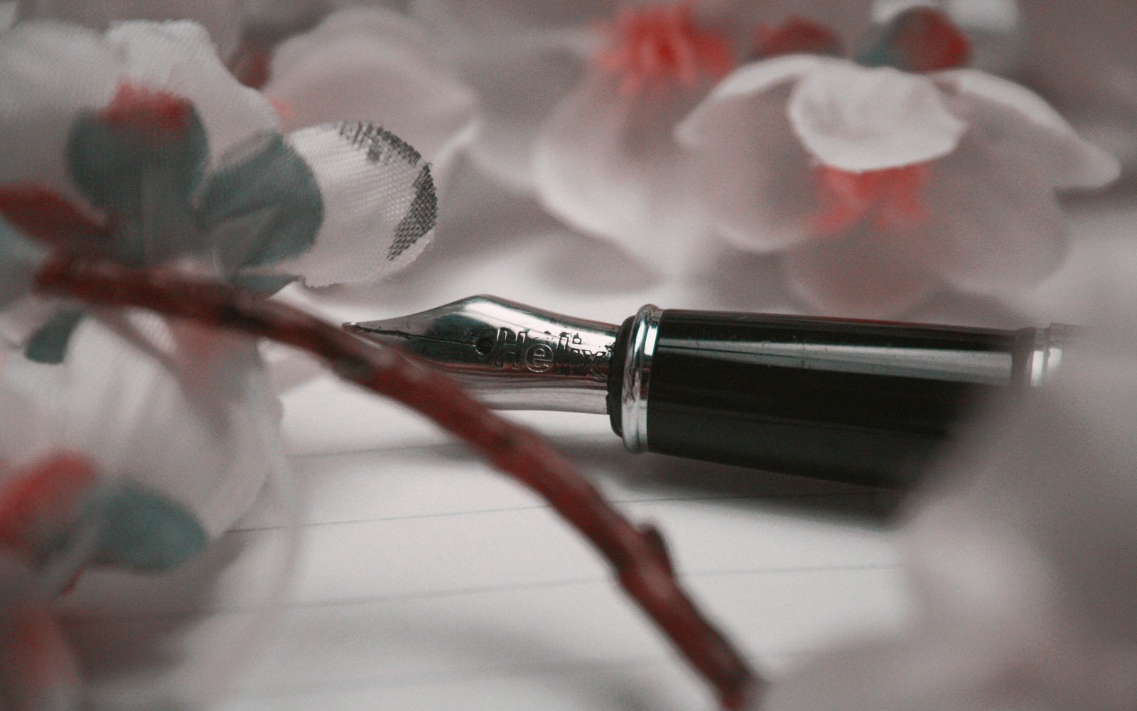 Leaving a Gift in Your Will