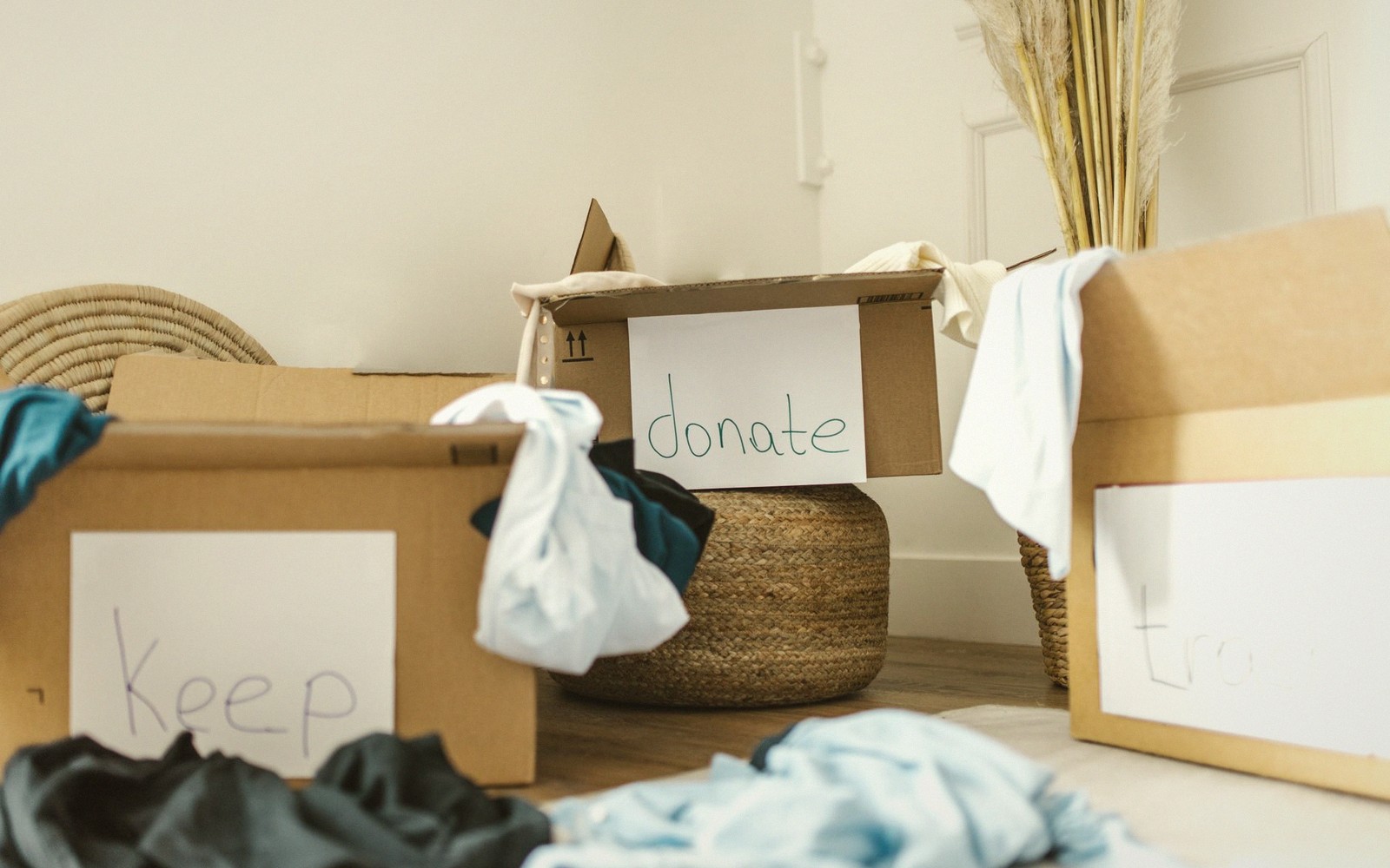 Workplace Giving Schemes, Compared